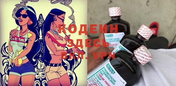 твердый Абаза