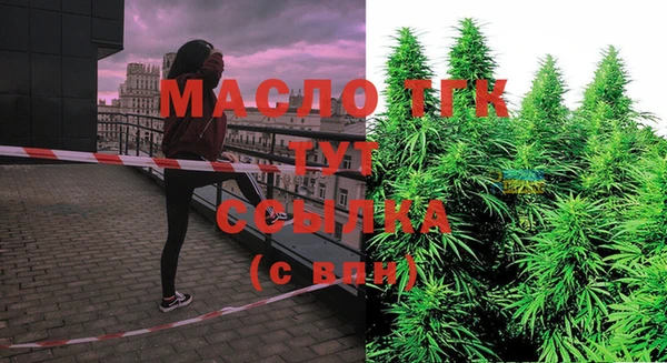 твердый Абаза