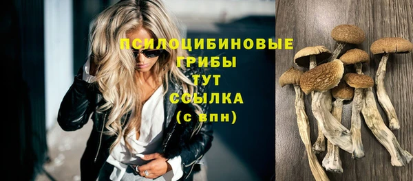 твердый Абаза