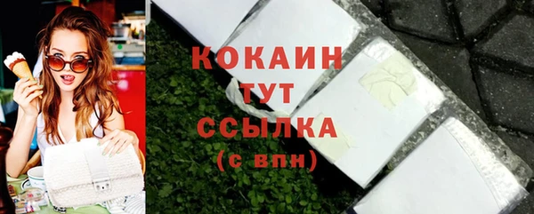 твердый Абаза