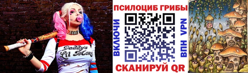 Псилоцибиновые грибы Psilocybine cubensis  даркнет сайт  Уржум 